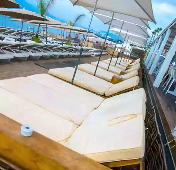Le Restaurant - Maëma Plage du Midi - Restaurant Cannes - top resto CANNES